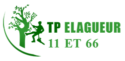 elagage-tp-elagage